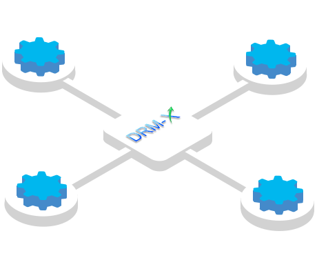 Flexible Rights Management