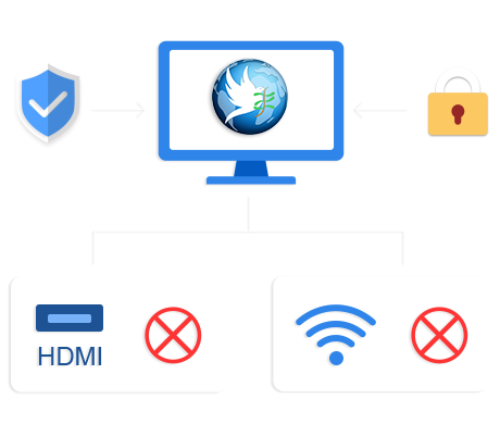 Display Output Restrictions and Multi-Screen Protection