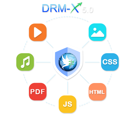 Multi-Format Content Protection