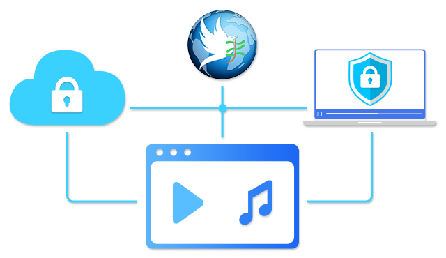 Video & Audio Secure Distribution and Protection