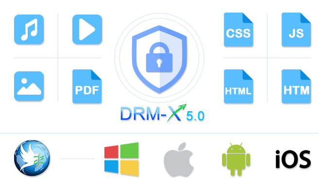 Support for More Content Formats and Cross-Platform Experience