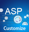 Customize integration
(ASP)